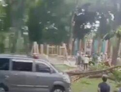 Demi Selamatkan Anaknya, Seorang Ibu Rela Tertimpa Pohon Di Tebet Eco Park