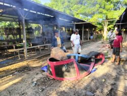 Satreskrim Bersama Polsek Tanasitolo Polres Wajo Gruduk Lokasi Sabung Ayam di 2 Wilayah Kecamatan, Musnahkan Arena Judi