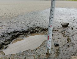  Rp4,9 M Disorot, Pejabat Bungkam, Publik Maros Curiga, Ini Kehati-hatian atau “GTM” Berjamaah.
