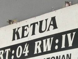 Pengakuan Menggemparkan di Pulau Lumu-Lumu, Dugaan ‘Pinjam Ijazah’ untuk Kursi Ketua RW, Nama Walikota Makassar “Appi” Terseret