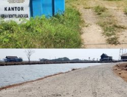 Rp135,3 Juta untuk Betonisasi, Jalan Baru Rusak,  PERJOSI Desak Inspektorat Bongkar Persoalan di Bonto Langkasa